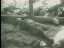 Thumbnail 61