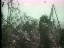 Thumbnail 78